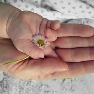 qué es el compromiso