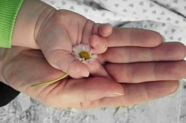 qué es el compromiso