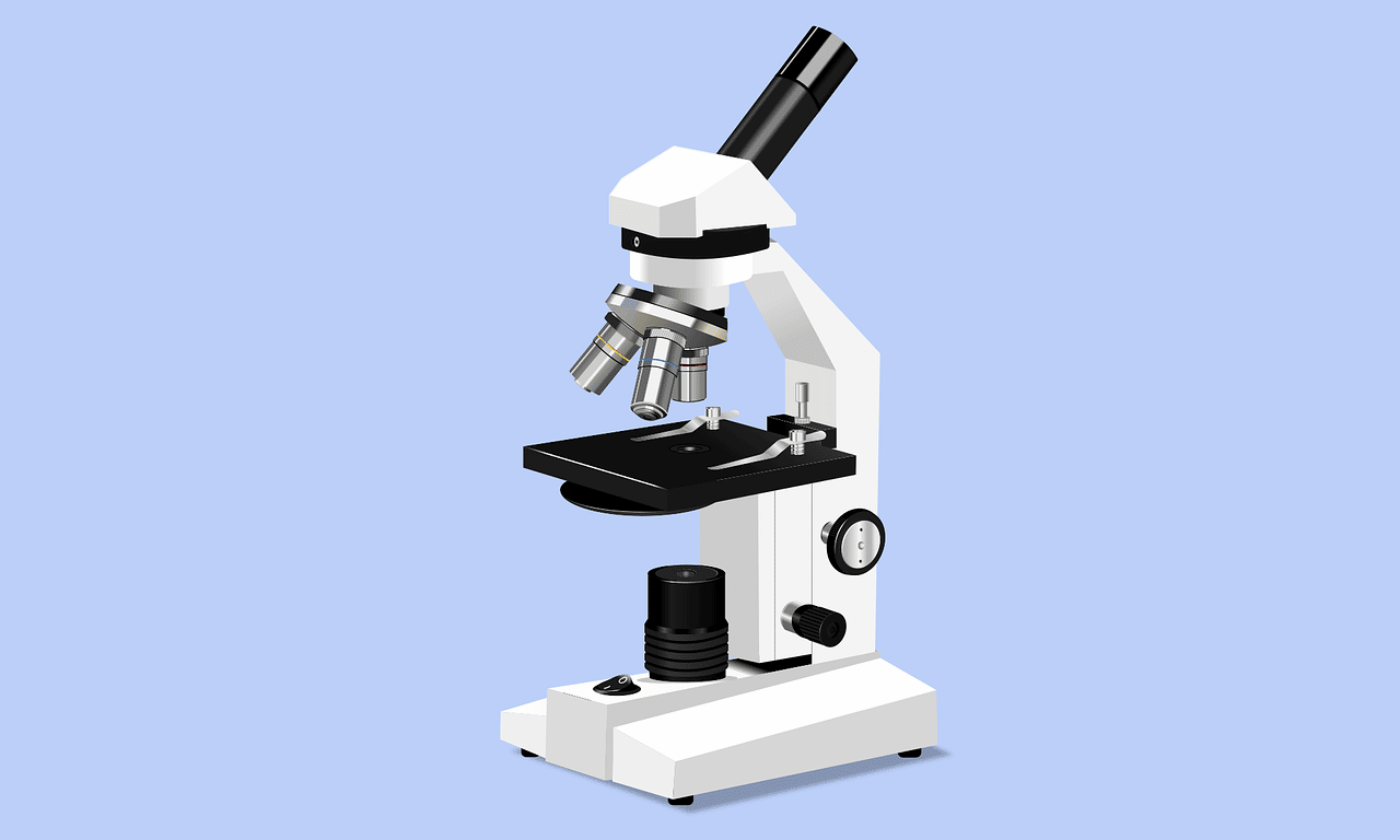Microscopio, clave para la bacteriología.