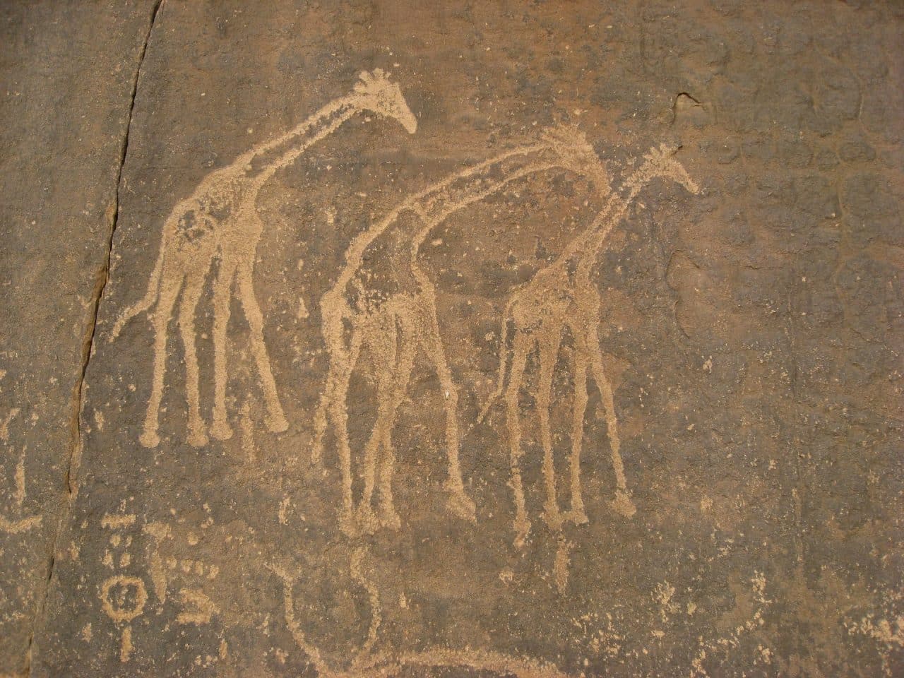 prehistoria dibujos rupestres