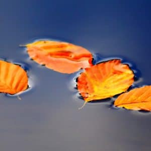 superficial estar por encima