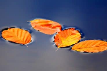 superficial estar por encima