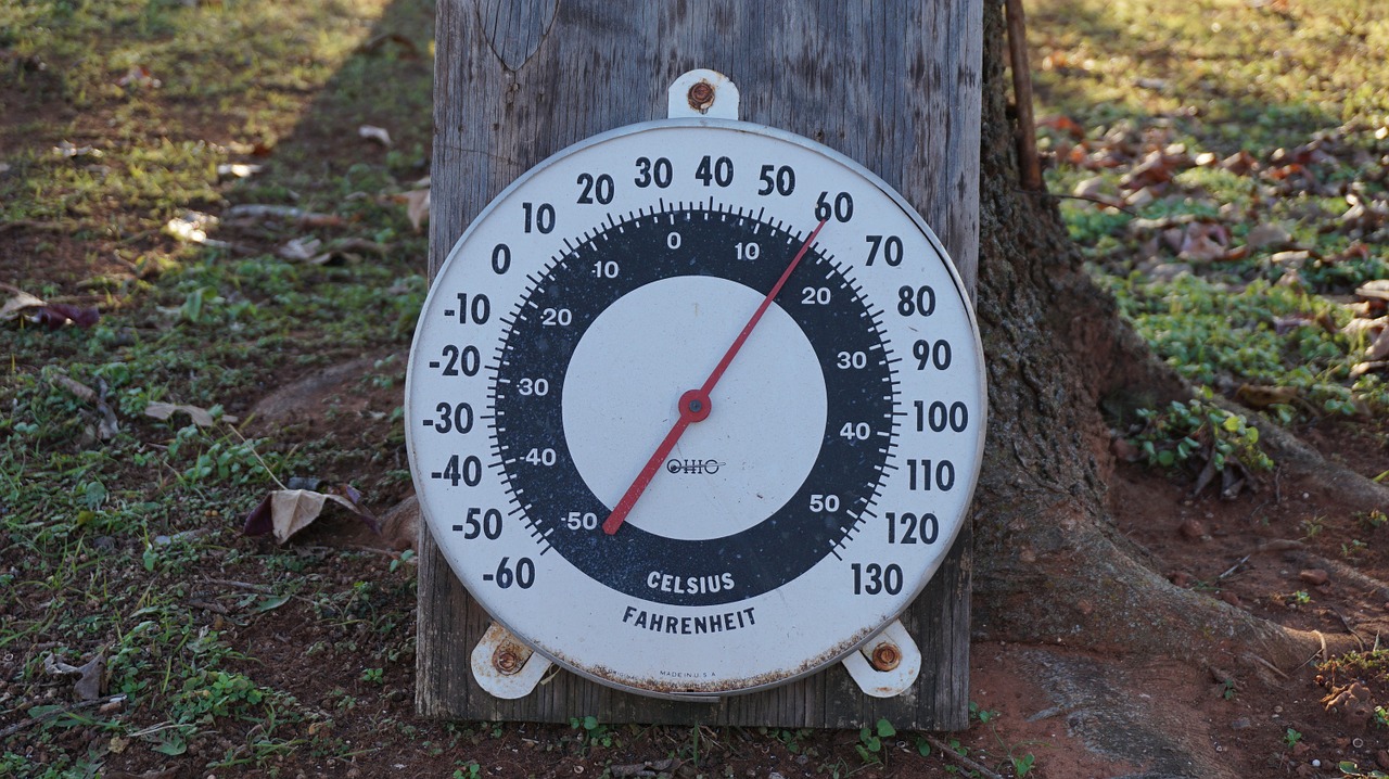 Termómetros Celcius y Farenheit