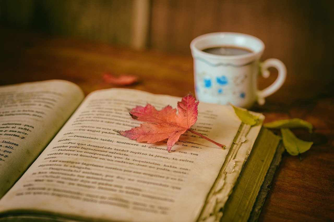 Libro y palabras