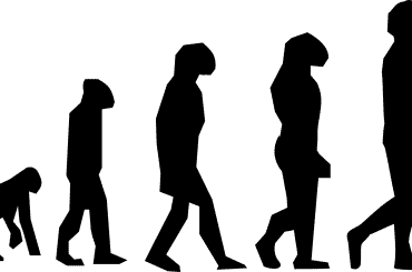 Transformación seres humanos evolución