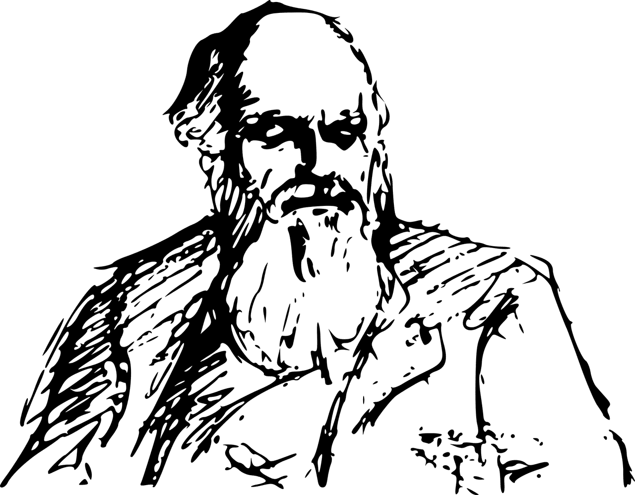 Transformación, Darwin, Origen de las Especies, evolución