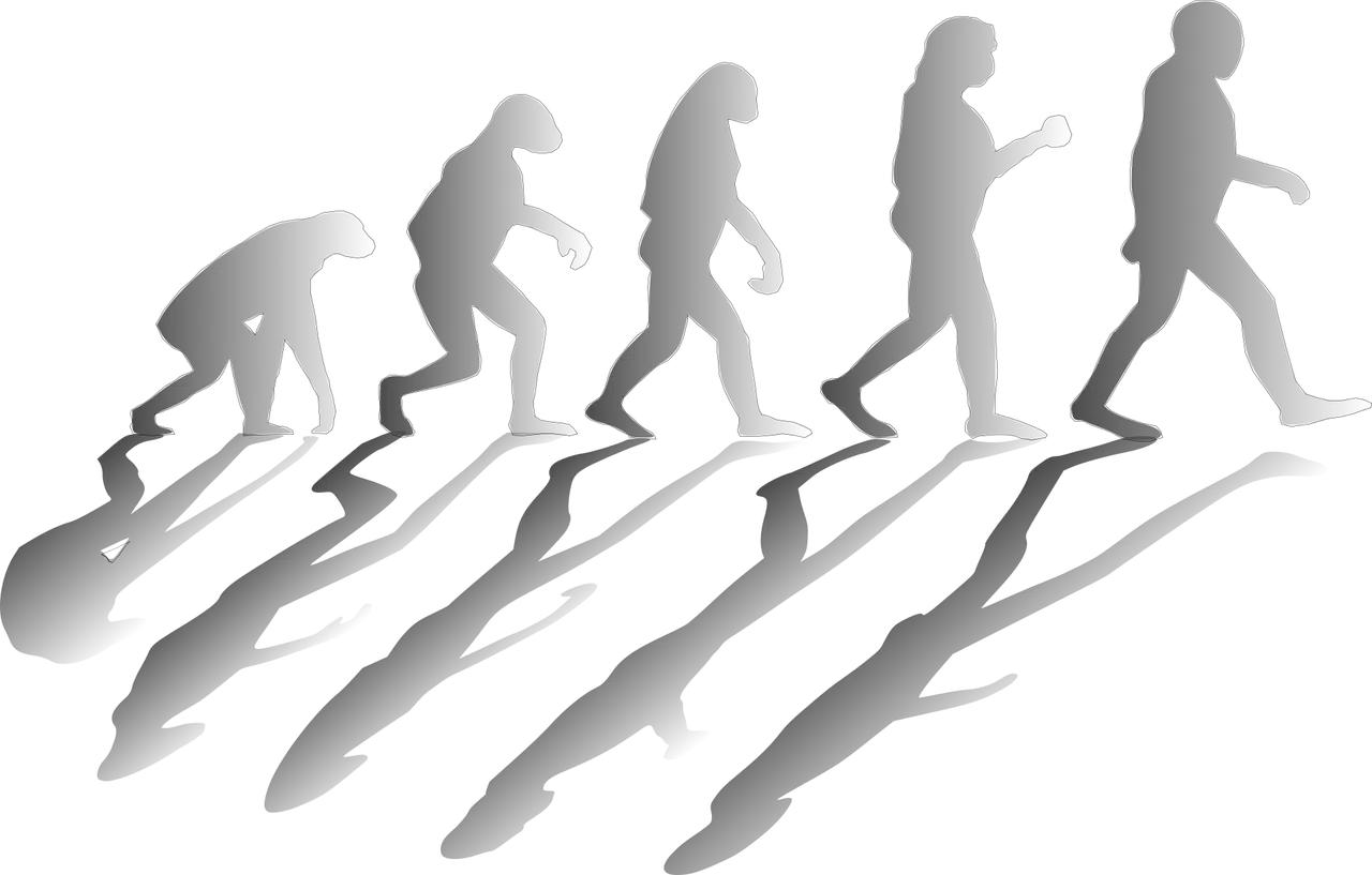 Evolución humana