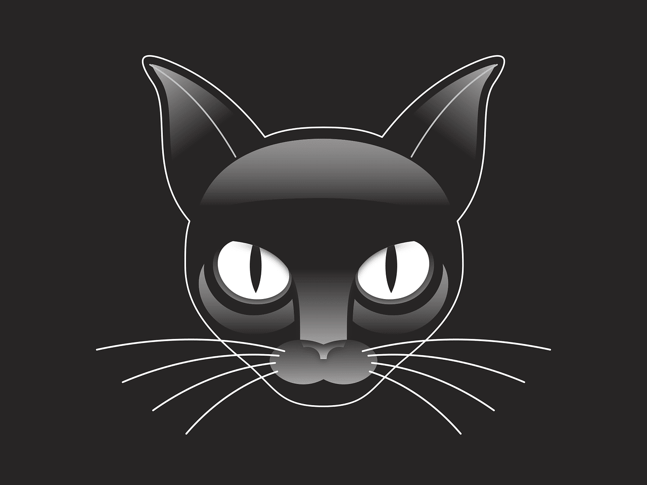 Creencia superstición gato negro 