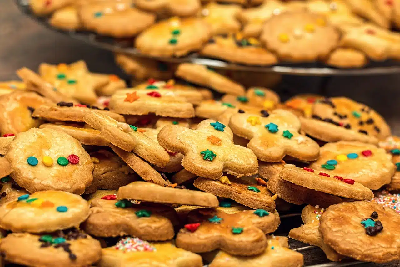 Cookies, web, galletas informáticas