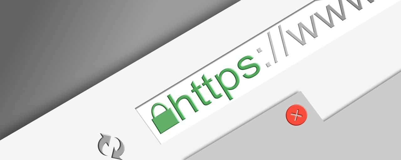 El sitio web tiene un dominio que comienza con la sigla www.