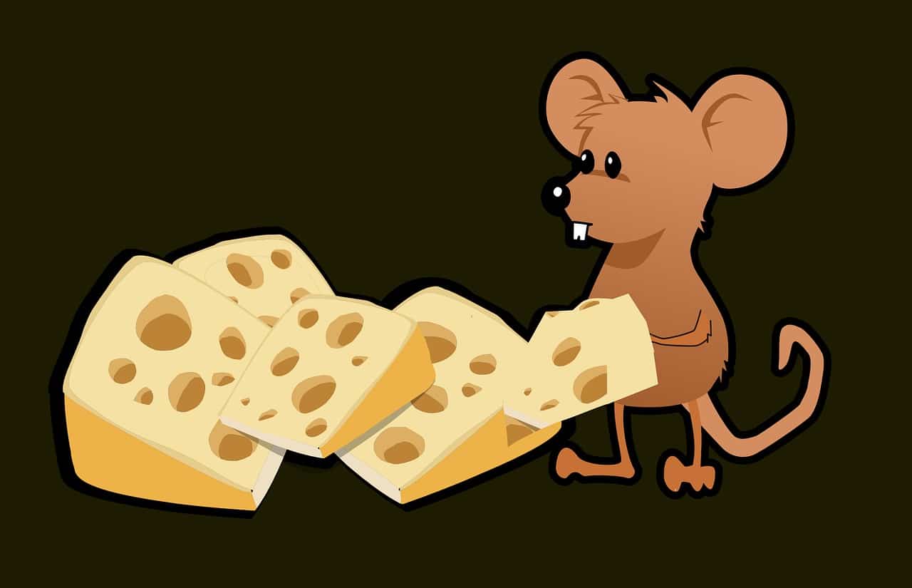 Alegoría, queso, ratón. Metáfora. 