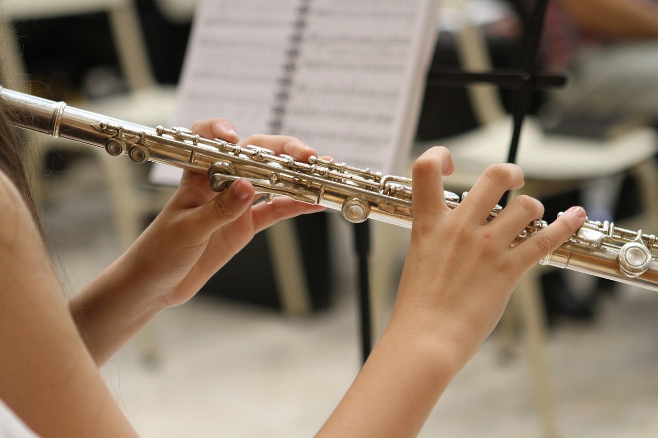 Flauta, incentivo, tono, orquesta. 