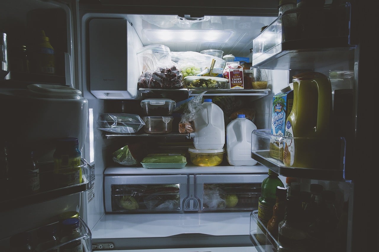 Conservación de alimentos, refrigerador, comida 