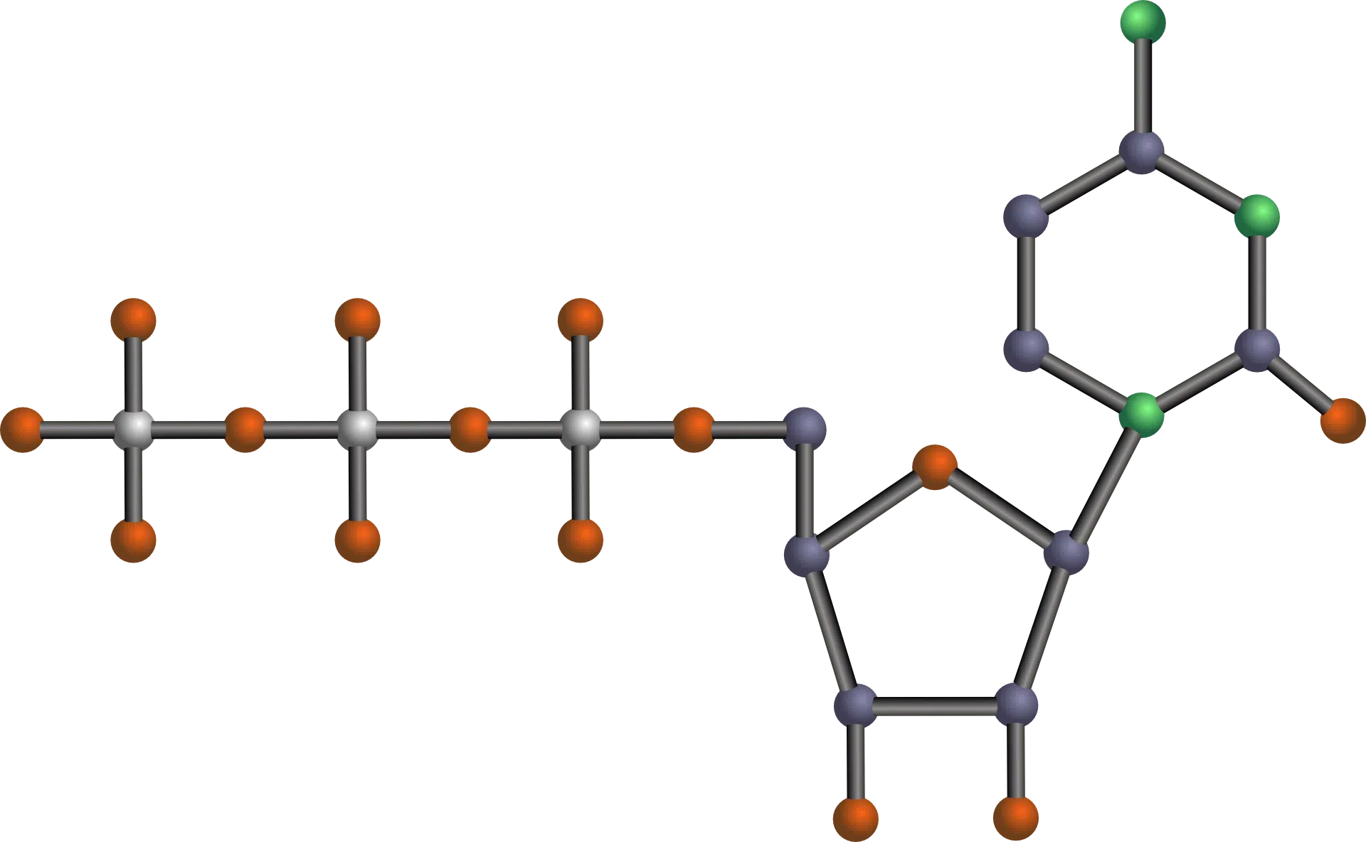 Nucleótido